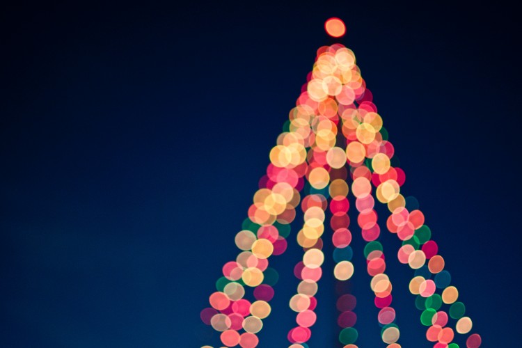 Lighting the Christmas Tree